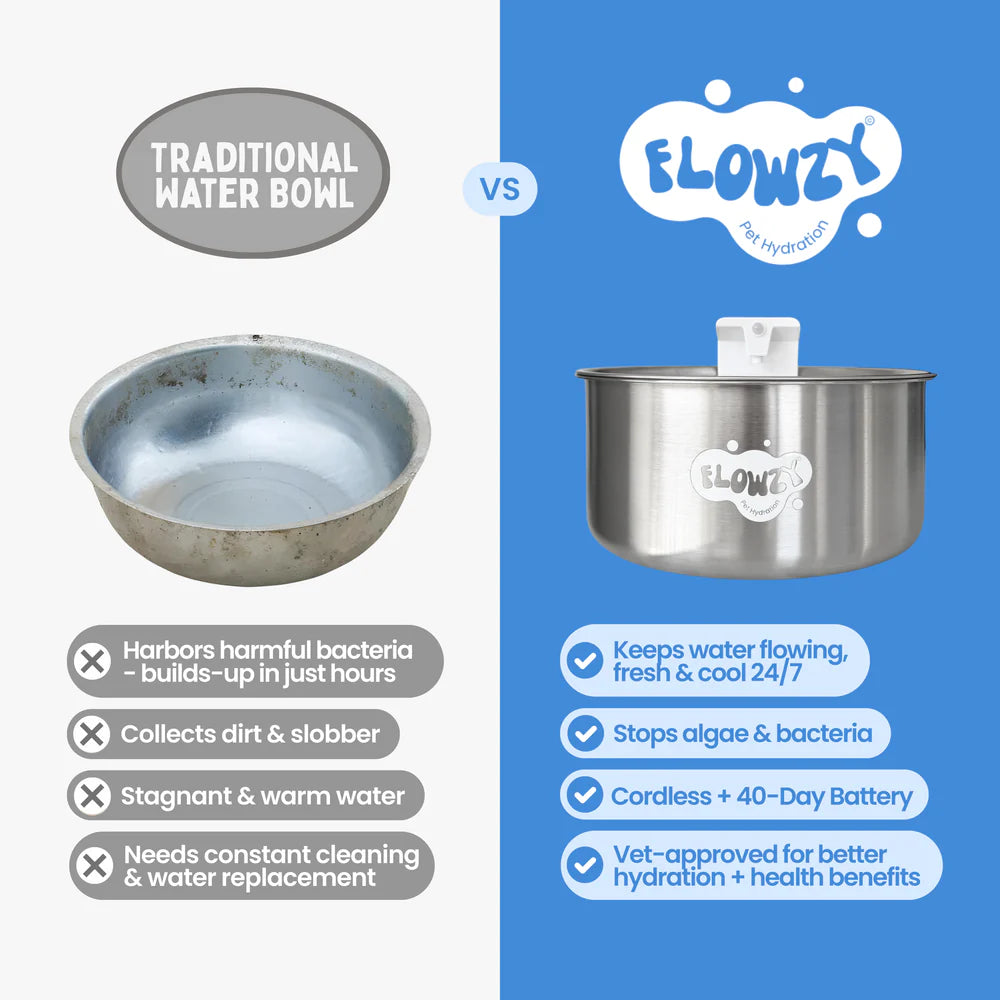 Stainless Steel Water Fountain