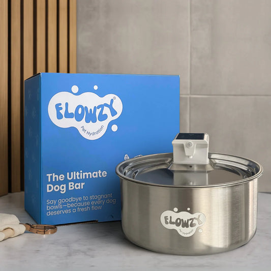 Stainless Steel Water Fountain
